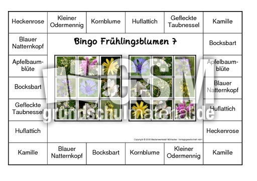 Bingo-Frühlingsblüten-7.pdf